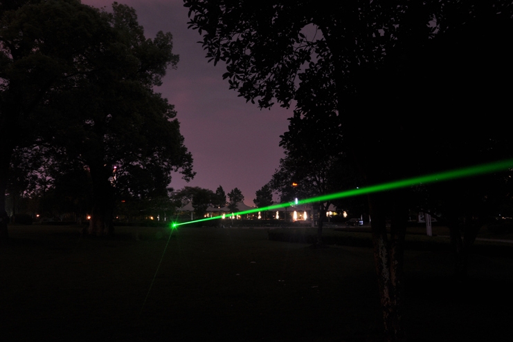 laser vert 1000mw 