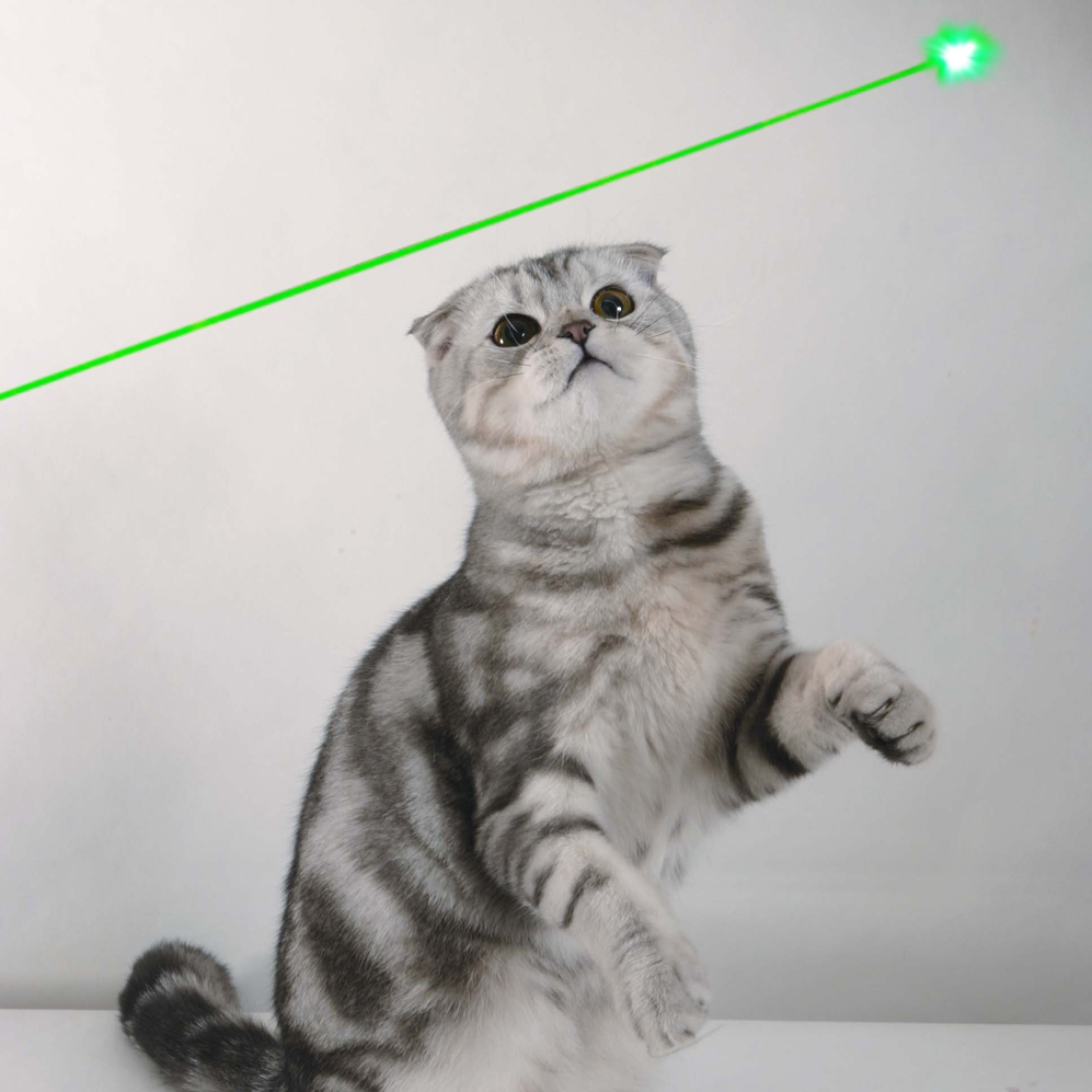 Achats pour pointeur laser puissant